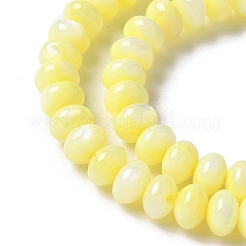 Нити бусин из натуральных пресноводных ракушек&nbsp;SSHEL-C013-07C