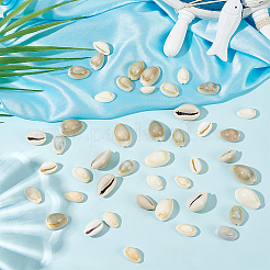 260 шт. 4 вида бусин из ракушек каури&nbsp;SSHEL-WR0001-01