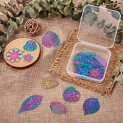 Наборы для самостоятельного изготовления подвесных сережек&nbsp;DIY-CW0001-07