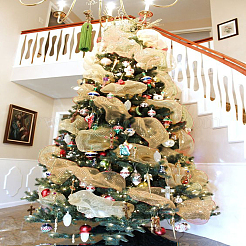 Поли сетчатая лента&nbsp;DIY-CJC0001-09B