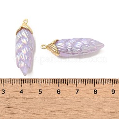 Подвески из смолы с радужным переливающимся покрытием&nbsp;LS-RESI-C047-03E-G