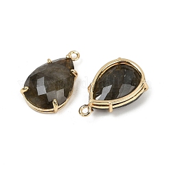 Ограненные подвески из натурального лабрадорита&nbsp;G-K347-05G-02