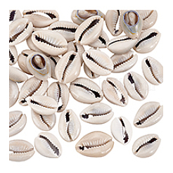 43 шт. бусины из натуральной ракушки каури&nbsp;SSHEL-PH0001-47