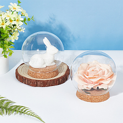 Купол из круглого стекла&nbsp;DJEW-WH0043-33