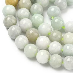 Натуральный майяр нефрит / бурманский нефрит бисерные пряди&nbsp;G-K310-C05-8mm-01