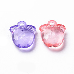 Прозрачные акриловые подвески TACR-S154-28B