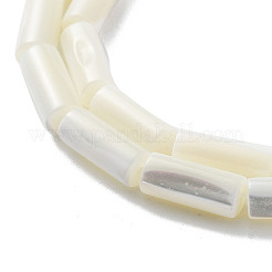 Нити бусин из натуральной ракушки трохус&nbsp;SSHEL-S266-020A-06