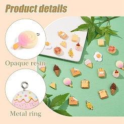 24шт 12 стиля непрозрачные подвески из смолы&nbsp;CRES-YW0001-34