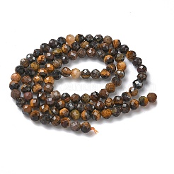 Природных тигровый глаз бисер нитей&nbsp;G-L651-C14-4mm