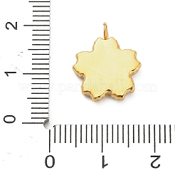 Подвески из нержавеющей стали 304 с эмалью&nbsp;STAS-F331-01C-G