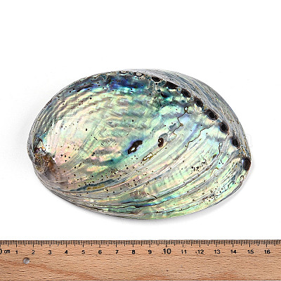 Бусины из натуральной ракушки пауа&nbsp;SSHEL-Q298-22-1