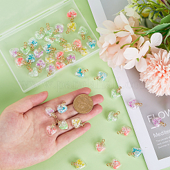 50шт 5 цвета светятся в темноте светящиеся стеклянные подвески&nbsp;GLAA-SC0001-79