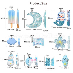 30шт 10 стиля подвески из непрозрачной и прозрачной смолы&nbsp;RESI-CJ0003-02