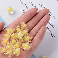 Прозрачные акриловые бусины&nbsp;TACR-S152-02A-SS2105