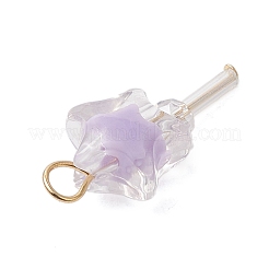 5 шт. подвески из акрила и стекла&nbsp;PALLOY-JF03526-01