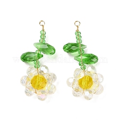 Подвески из стеклянных бусин&nbsp;GLAA-C028-06E