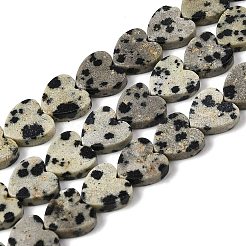 Природные яшмы далматин бисер нитей&nbsp;X-G-M403-A31-03
