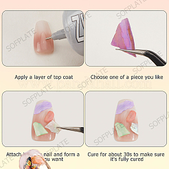 1 набор из 12 сетчатых наггетсов в виде ракушек-морских ушек для нейл-арта для женщин и девочек&nbsp;MRMJ-SP0001-06