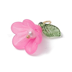 Акриловые подвески&nbsp;PALLOY-TA00145