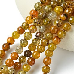 Окрашенные естественно дракон жил агат бисер пряди&nbsp;G-C068-10mm-15