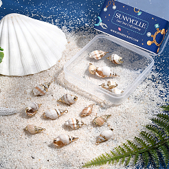 16 шт. 4 подвески в виде ракушек с гальваническим покрытием&nbsp;SSHEL-SC0001-20