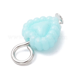 Непрозрачные акриловые подвески&nbsp;PALLOY-JF04351-01