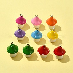 Подвески из непрозрачной смолы 10 шт.&nbsp;RESI-FS0001-61