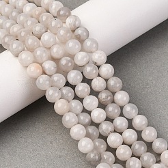 Натуральные белые сумасшедшие кружевные агатовые бусины&nbsp;X-G-D840-55-6mm