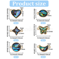 12 шт. 6 стиля подвески-соединители из ракушки пауа&nbsp;FIND-FH0007-96G