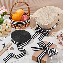 Ленты из полиэстера&nbsp;SRIB-WH0011-326E