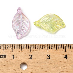 Прозрачные акриловые подвески&nbsp;MACR-F084-02