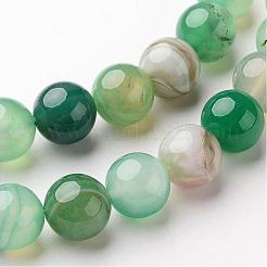 Натуральные полосатые агатовые / полосатые агатовые бусинки&nbsp;G-D845-01D-8mm