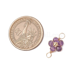 10 шт. 10 стиля: натуральный амазонит&nbsp;PALLOY-JF03605