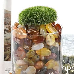 Окрашенные и нагретые натуральные бусины из агата&nbsp;X1-G-J402-03C-03