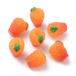 Малина мини имитация смолы&nbsp;RESI-WH0077-20G