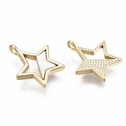 Подвески из натуральных пресноводных ракушек&nbsp;KK-S356-207G-NF