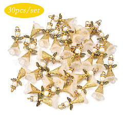 30шт акриловые подвески&nbsp;PALLOY-JF03902