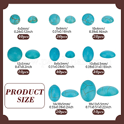 200 шт. 8 стиля синтетических бирюзовых кабошонов&nbsp;TURQ-PH0001-16