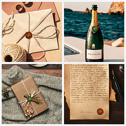 Печать сургучная печать&nbsp;AJEW-WH0104-88-107