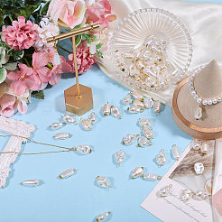 120 шт. 12 стиля подвески и подвески из искусственного жемчуга из АБС-пластика&nbsp;PALLOY-PH01909