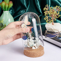 Стеклянный купол&nbsp;AJEW-PH0004-19C