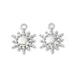 Подвески из нержавеющей стали марки 304&nbsp;STAS-L269-039P