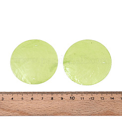 Окрашенные распылением натуральные подвески с соединителем оболочки Capiz&nbsp;SSHEL-N039-03-01C