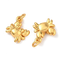 Подвески из морской латуни&nbsp;KK-K364-23C-G