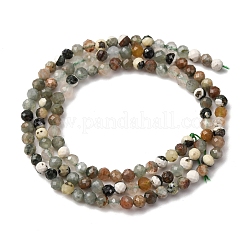 Натурального дерева агат бисер нитей&nbsp;LS-G-RM2025-A40-3mm