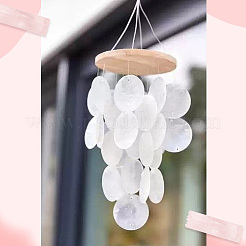 100 шт. подвески из натуральной ракушки капиз&nbsp;SSHEL-SC0001-42