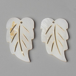 Природные подвески оболочки пресноводных SHEL-N026-81