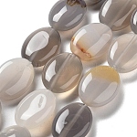 Серые натуральные бусины из агата , Плоско-овальные, 18~18.5x13~13.5x6~6.5 мм, отверстие : 1.2 мм, около 11 шт / нитка, 7.76 дюйм (19.7 см)