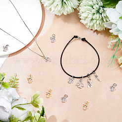 12шт 2 цвета латунные микро проложить кубический цирконий шармы&nbsp;KK-FH0007-76