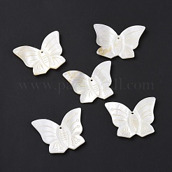 Природные подвески оболочки пресноводных&nbsp;SHEL-H001-07